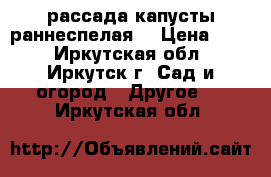 рассада капусты раннеспелая. › Цена ­ 15 - Иркутская обл., Иркутск г. Сад и огород » Другое   . Иркутская обл.